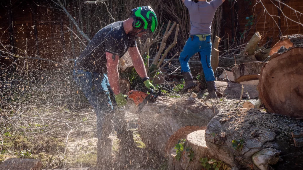 Ponce Tree Service