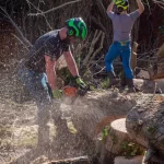 Ponce Tree Service